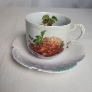 Antique Porcelain Fruit Design Marseille Bavaria Tea/ Coffee Cup With Saucer